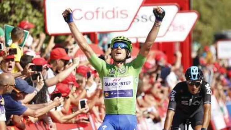 Vuelta - Matteo Trentin wint massaspurt