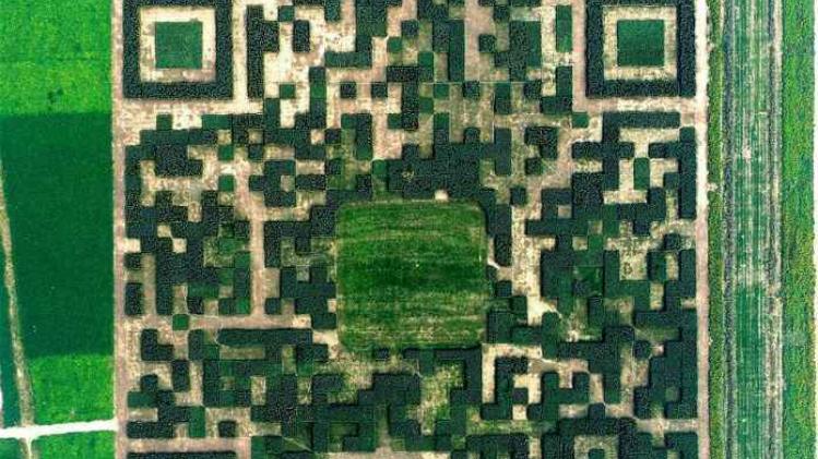 Chinezen maken gigantische QR-code met 130.000 bomen