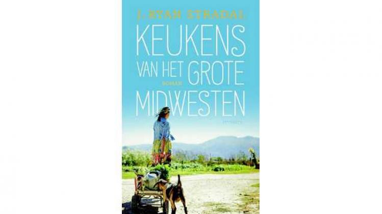 Keukens van het grote midwesten