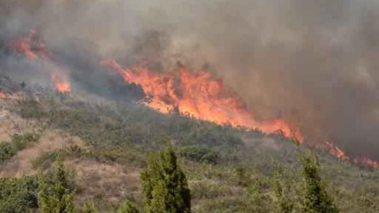 Al tien doden bij natuurbranden in Californië