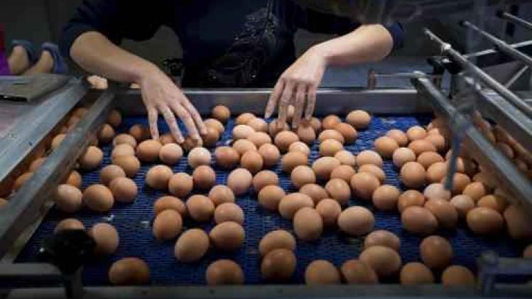 Fipronil in eieren - Al 14 miljoen euro schade door fipronilcrisis