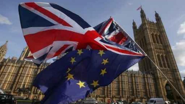 Britse parlementsleden bundelen krachten tegen harde brexit