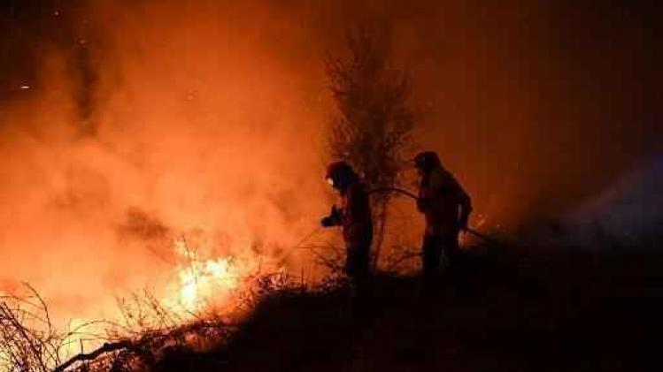 Dodentol bosbranden Portugal stijgt tot 41