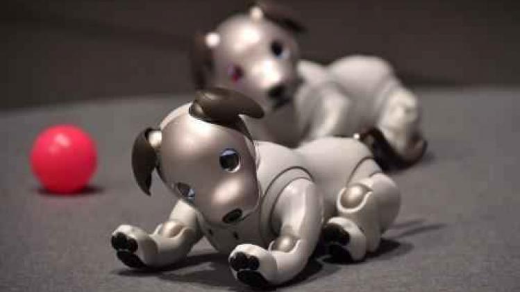 Sony brengt robothond opnieuw op de markt