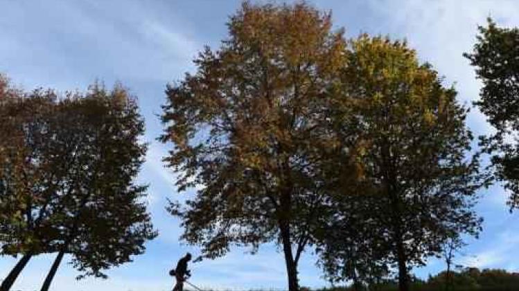 Zonnige dinsdagnamiddag