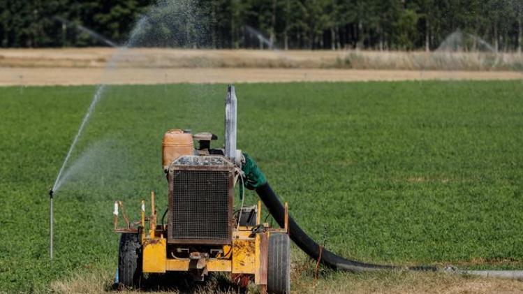 "Een machine kan bepalen wanneer en hoeveel landbouwers moeten irrigeren"