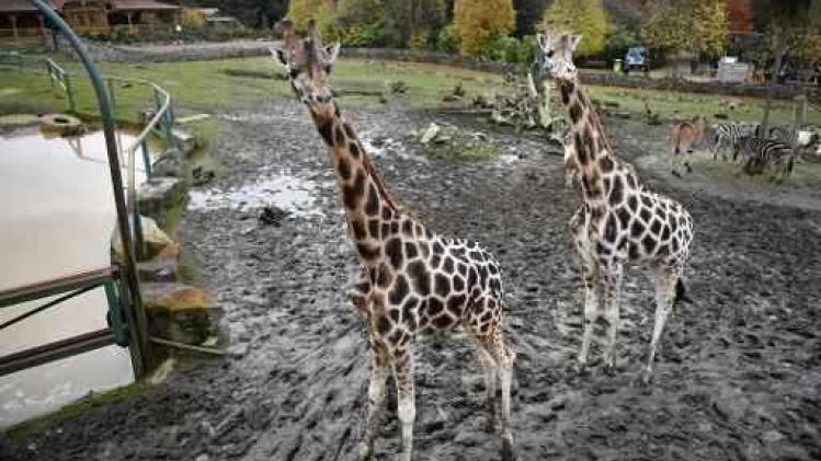 Vijfhonderd bezoekers bij heropening van Olmense Zoo
