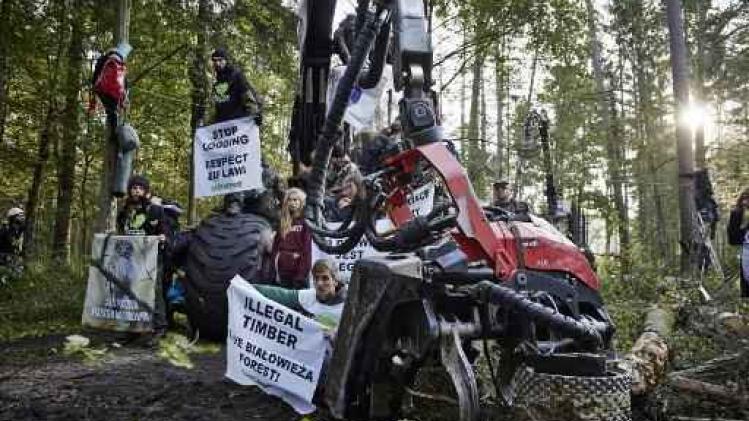 Europees Hof dreigt met zware dwangsommen als Polen oerbos blijft kappen
