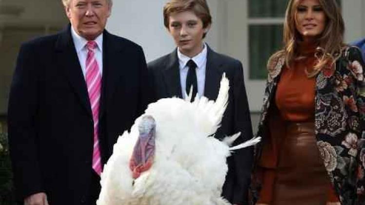 Trump verleent eerste Thanksgiving-kalkoen gratie