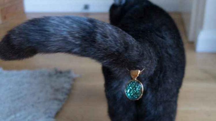 Er zijn nu ook juwelen voor kattenpoepen