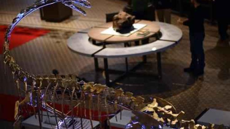 Plateosaurus Ben maakt intrede in Galerij van de Dinosauriërs