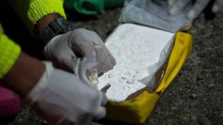 Nieuw record in Antwerpse haven: 31 ton cocaïne onderschept
