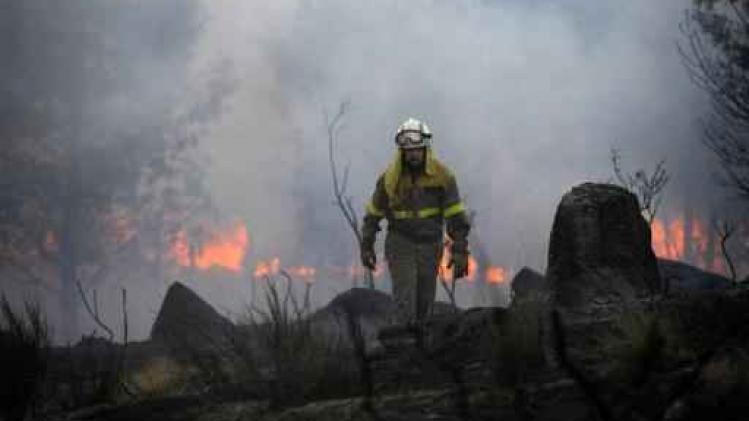 Brand op Mallorca legt 75 hectare bos in de as - 60 huizen ontruimd