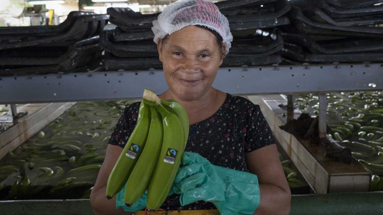 GUIDOM Fairtrade Bananas: Mao, Dominican Republic