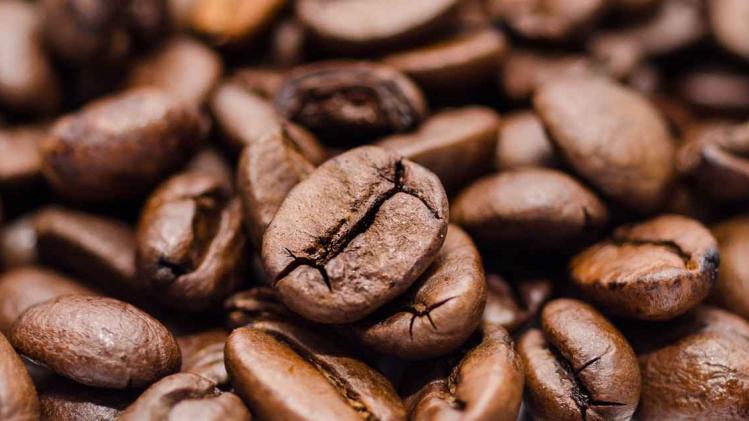 Klimaatverandering verlaagt de kwaliteit van onze koffie