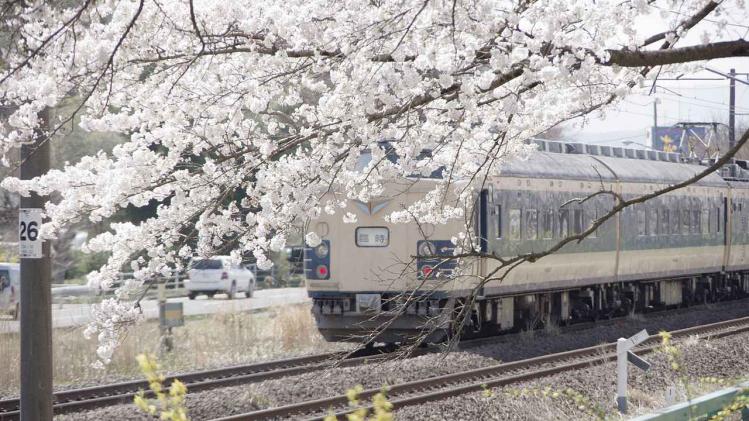 Japanse treinen blaffen om herten weg te jagen