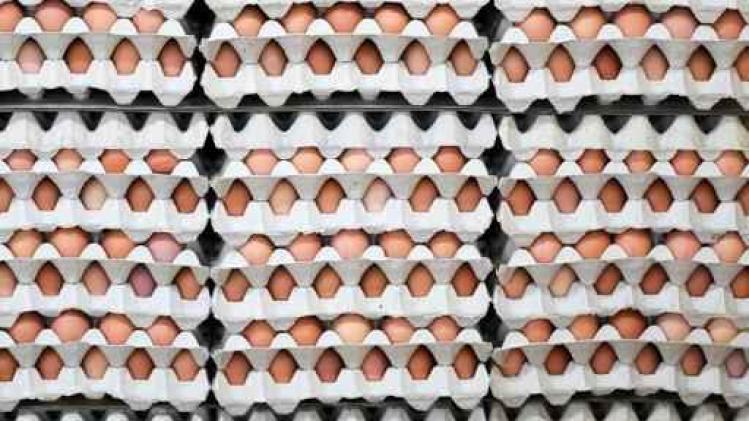 Fipronil in eieren - Eierprijzen nog steeds erg hoog