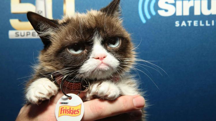 Grumpy Cat is na rechtzaak een half miljoen euro rijker