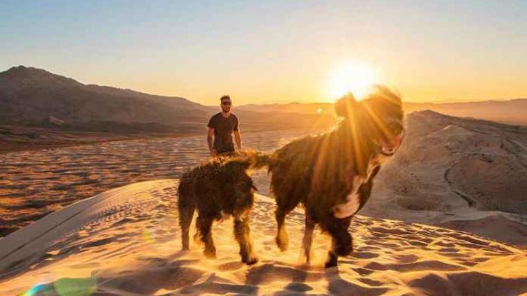 Jordan Kahana reist de VS door met zijn twee honden