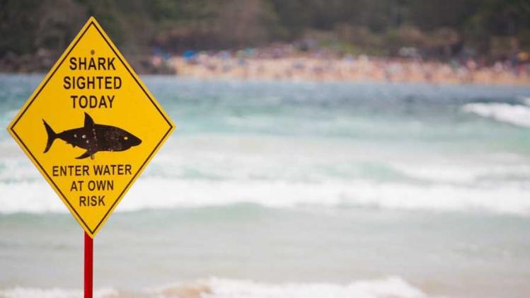 drones-haaien-spotten-stranden-australie