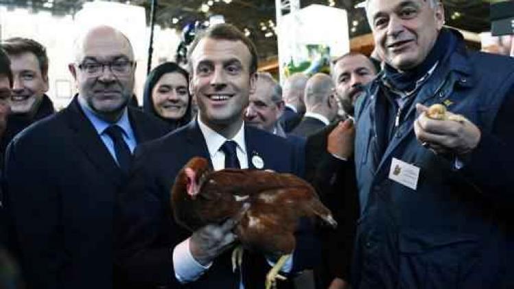 Macron neemt kip onder zijn vleugels