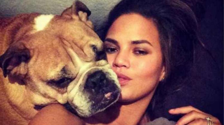 Chrissy Teigen rouwt om haar overleden bulldog
