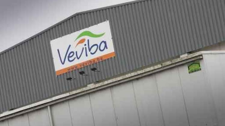 Greenpeace: "Industriële vleesproductie is rot tot op het bot"