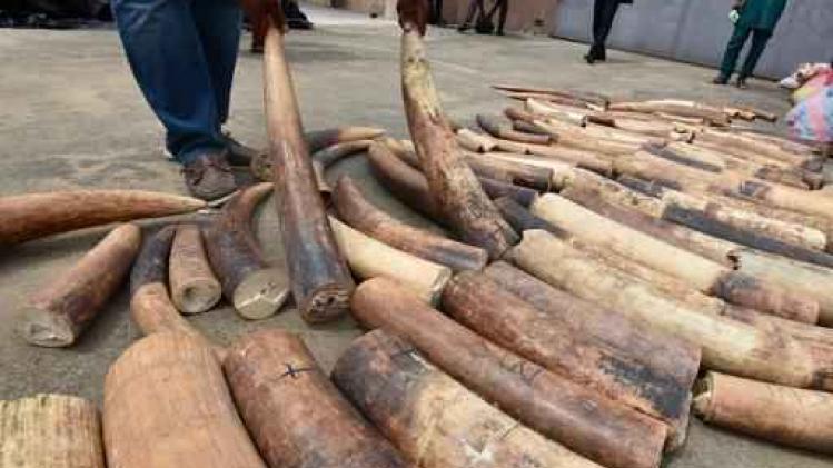 Afrika roept de EU op om de handel in ivoor te verbieden