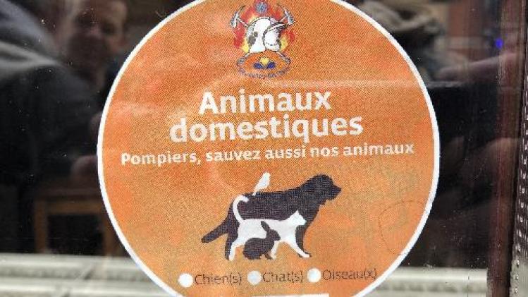 Brussel heeft ook zijn huisdierensticker voor noodgevallen