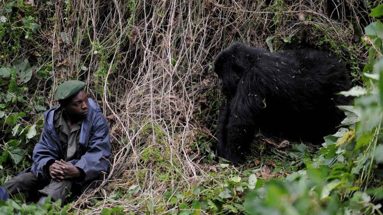 Vijf parkwachters van Virunga-park gedood bij hinderlaag