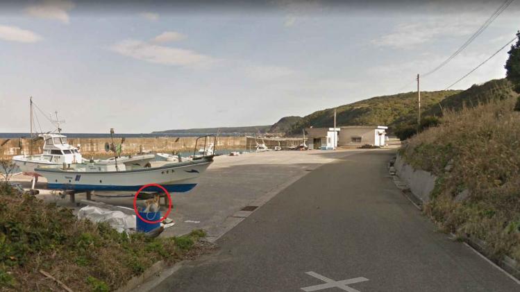 Hond 'photobombt' Google Street View