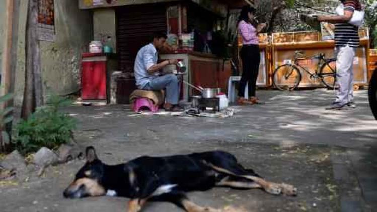 Zes kinderen door wilde honden verscheurd in India