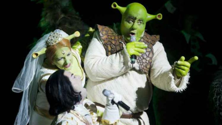 Vrouw brengt zelfbruiner aan en verandert in Shrek
