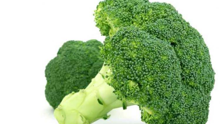 Broccoli is het enige dat je nodig hebt