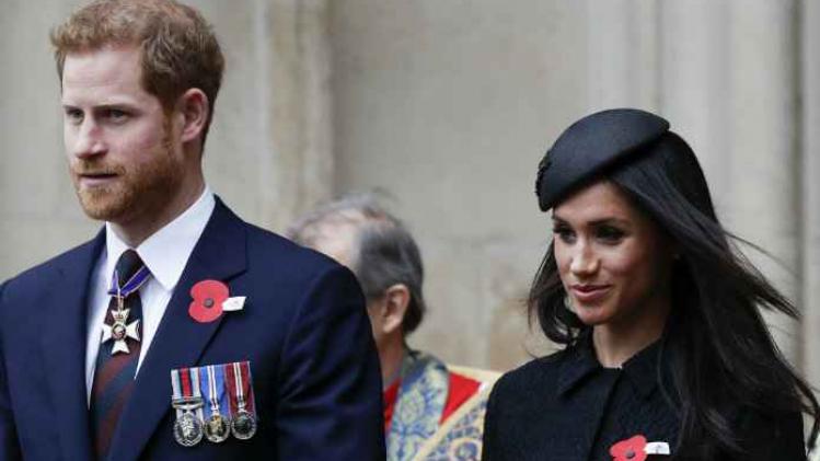 BELGAIMAGE-135288870