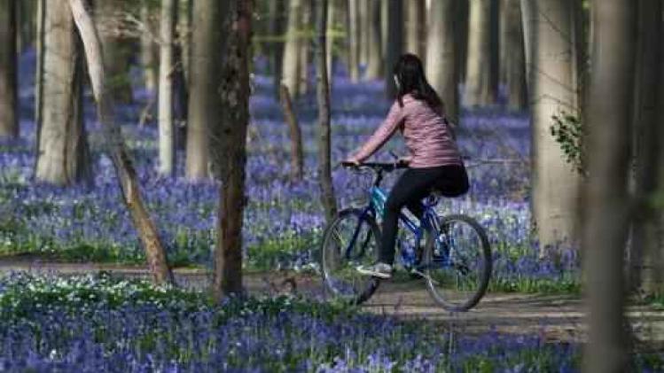 Meer dan 85 hectare ligt te wachten op bebossing in Vlaanderen