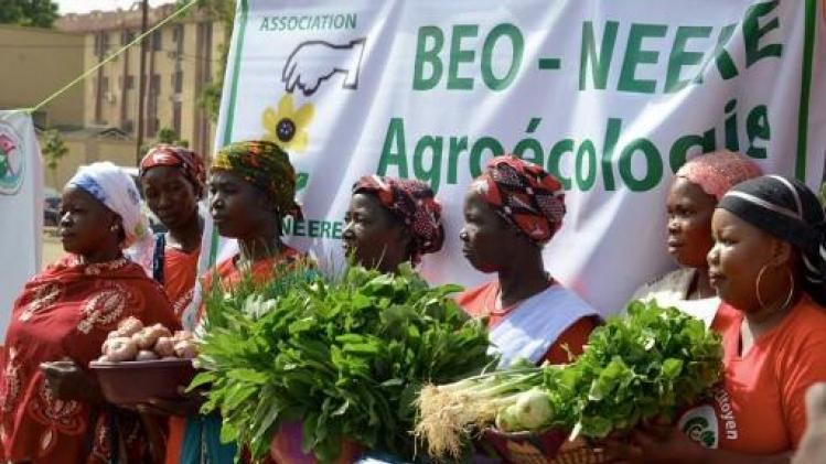 Betoging tegen ggo's in Burkina Faso