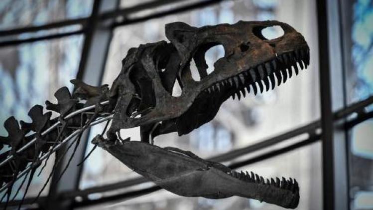 Skelet van dinosaurus tijdens veiling op Eiffeltoren voor 2 miljoen verkocht