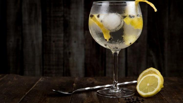 Zo maak je de perfecte gin-tonic op World Gin Day