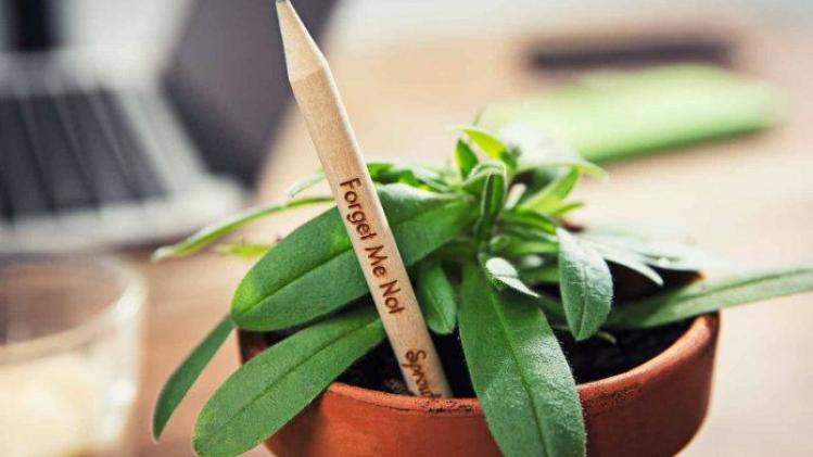 Dit potlood kan je planten