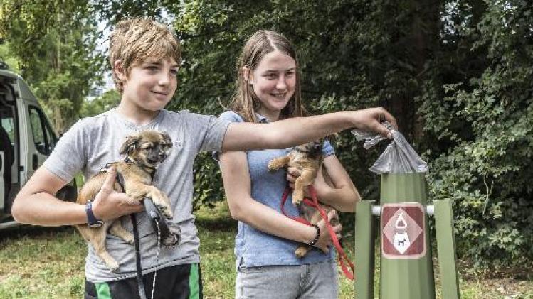 Gent lanceert proefproject met 'hondenpoeppalen'