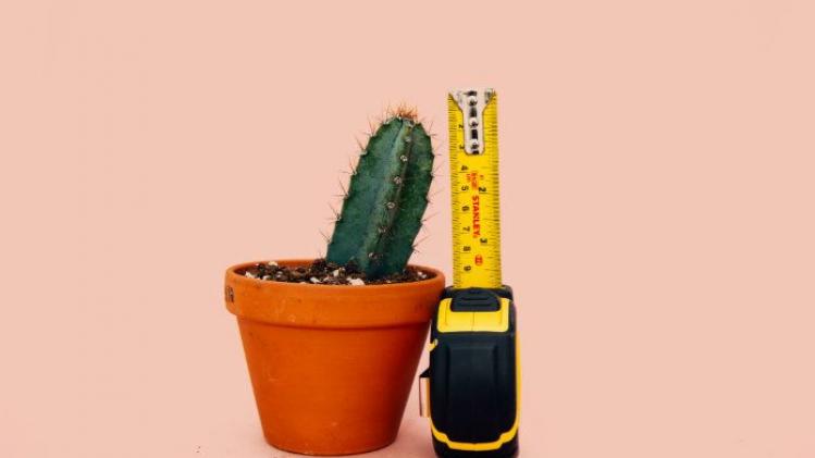 Vijf redenen om geen seks te hebben