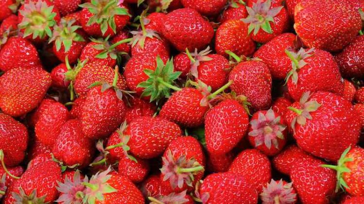strawberries-528791_1920