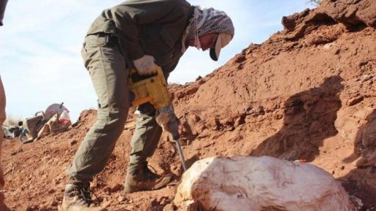 Resten gevonden van reuzegrote dinosaurus van 200 miljoen jaar oud in Argentinië