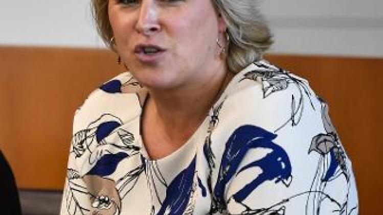 Voor einde jaar nog aankondigingsborden op 10 grote toegangswegen in Vlaanderen