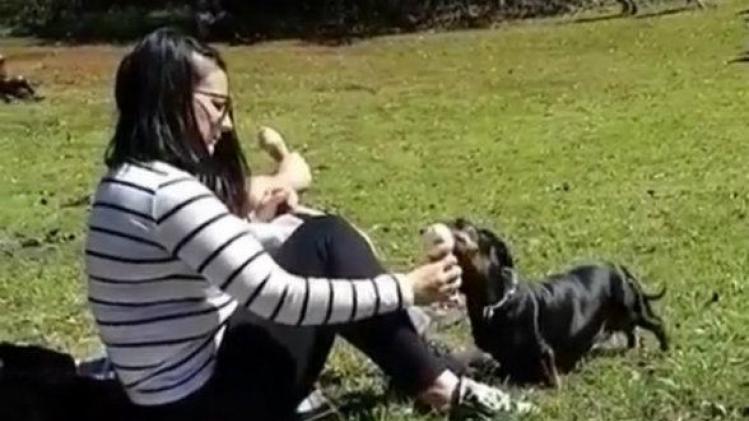 Vrouw laat op eerste date haar hond van haar ijsje likken. Het internet is verdeeld