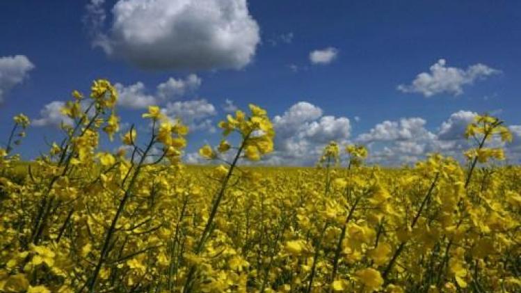 Weerbericht: feestdag zonder "drache nationale"