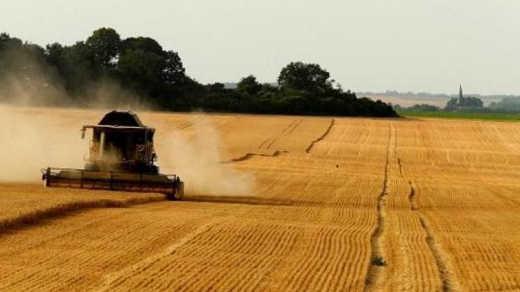 Landbouwbeurs Libramont - Aantal landbouwbedrijven in België is in 2017 verder gedaald