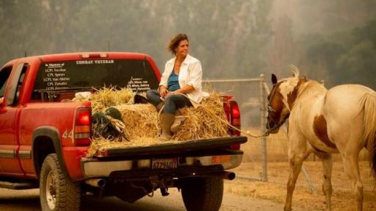 Gouverneur Californië vraagt federale steun in strijd tegen bosbranden