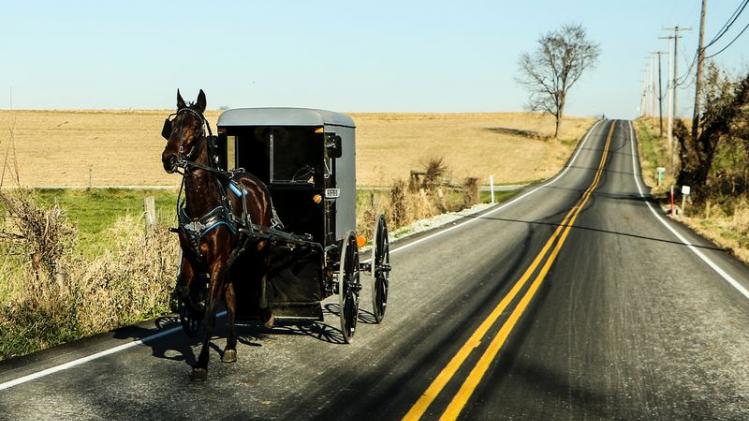 Amerikaan start 'Amish Uber' met paard en kar